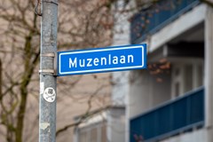 Muzenlaan 200 Heerlen-1.jpg